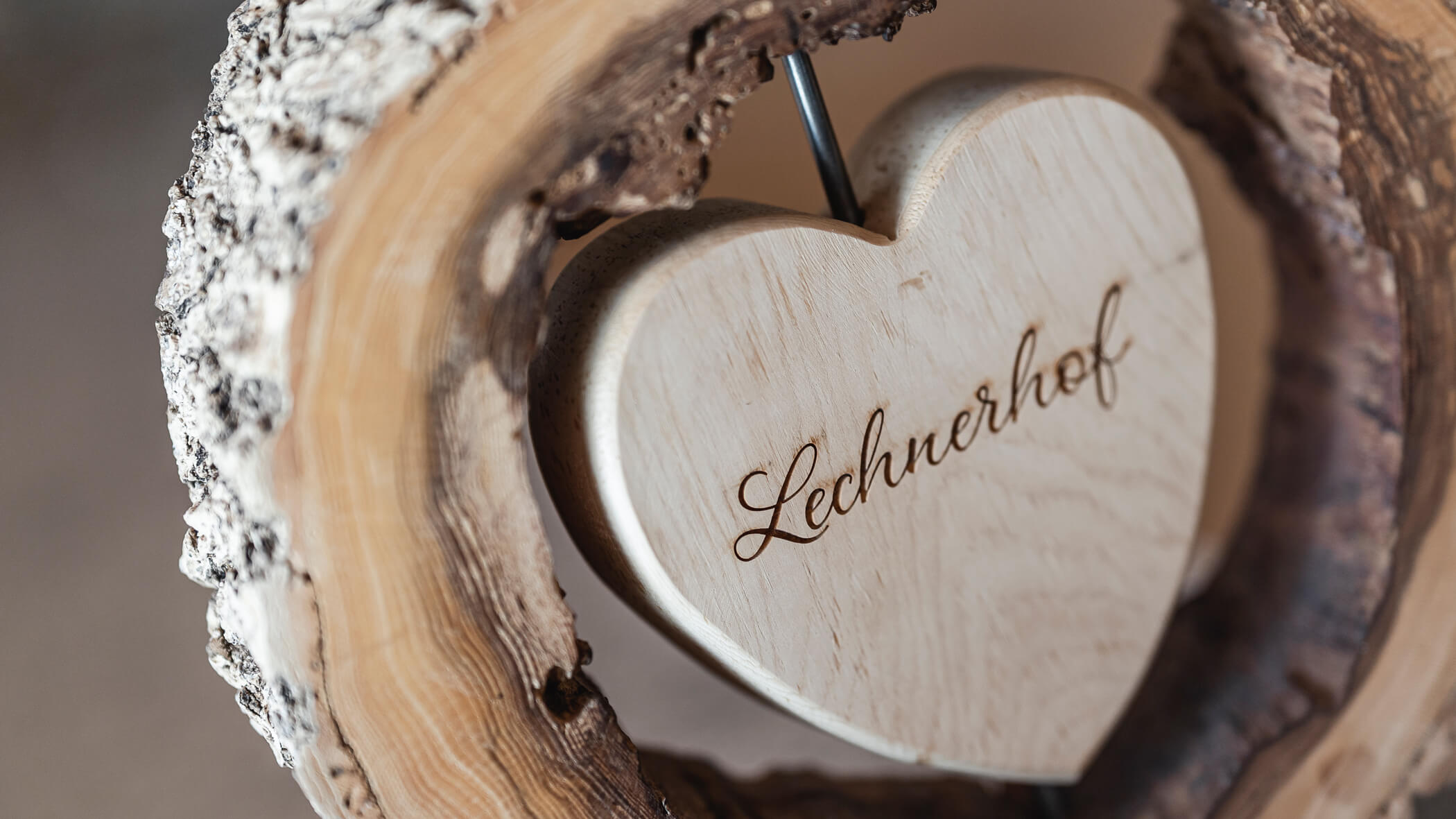 Vista dettagliata - Lechnerhof